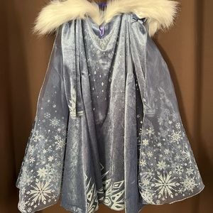 Winter Disney collection frozen dress